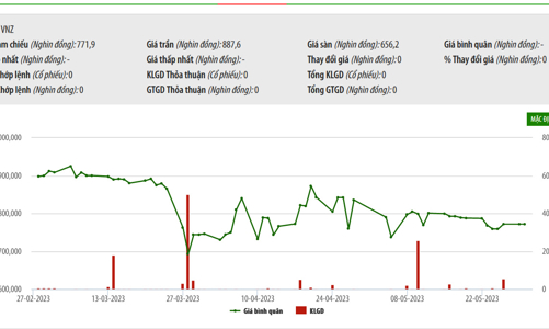 Sau kiểm toán, VNZ lỗ thêm 219 tỷ, lên 1.534 tỷ đồng cho năm 2022