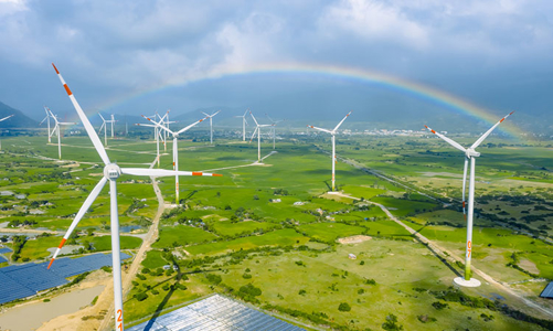 Đại biểu Quốc hội lo doanh nghiệp điện gió, điện mặt trời phá sản vì chính sách thay đổi đột ngột