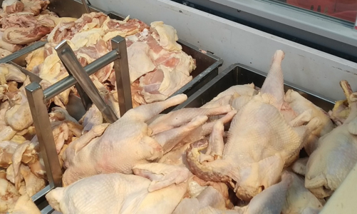 Ngăn gà thải nhập lậu, cơ quan hải quan buộc tái xuất hoặc tiêu huỷ lô hàng không đủ điều kiện