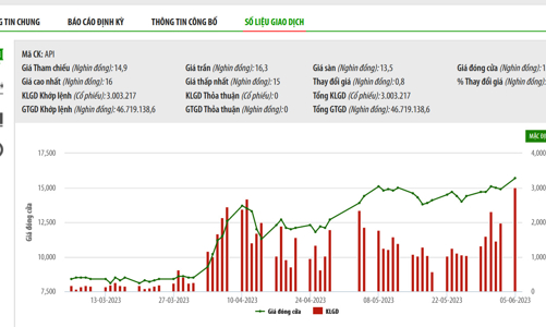 Theo quyết định xử phạt của SSC, Chứng khoán APEC bị buộc phải bán 8,1 triệu cổ phiếu API