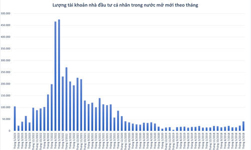 Lãi suất lao dốc, dòng tiền cá nhân đổ vào chứng khoán, số tài khoản mới mở gấp 5 lần tháng 4 