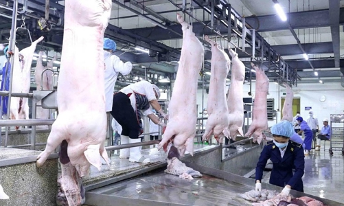Thói quen tiêu dùng dễ dãi tạo điều kiện cho các cơ sở giết mổ nhỏ lẻ tồn tại