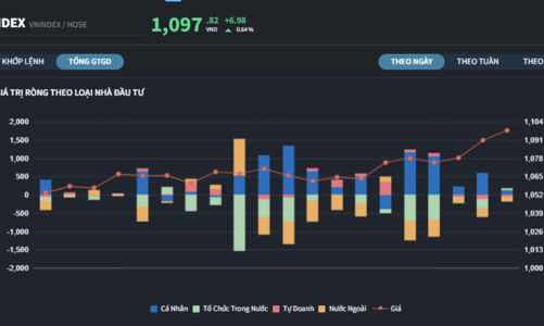 Khối ngoại miệt mài bán, nhà đầu tư cá nhân không ngừng gom, mua toàn cổ phiếu bán lẻ 
