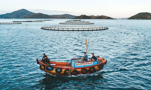 Tạo lập chính sách thu hút đầu tư vào nuôi trồng hải sản trên biển