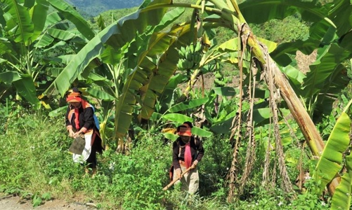Cần một bộ tiêu chí khoa học hơn trong công tác giảm nghèo bền vững