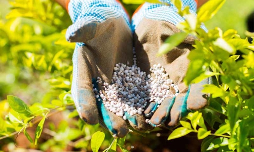 Thuế xuất khẩu phân bón NPK về 0%, giảm thuế nhập khẩu xăng sinh học từ giữa tháng 7/2023