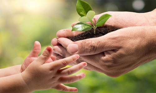 Chuỗi cung ứng bền vững thúc đẩy phát triển kinh tế xanh