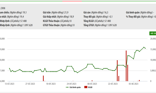 Được chuyển giao sang SCIC, hai quỹ đầu tư thuộc PVI bán cổ phiếu, không còn là cổ đông lớn của DVN