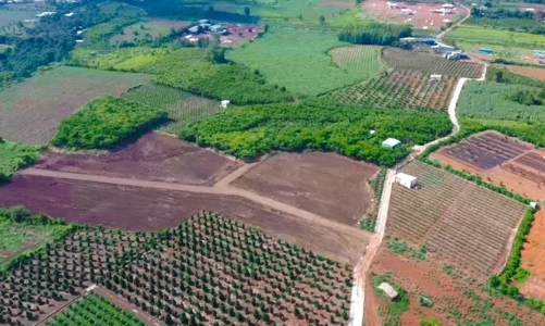 Long An được chuyển 18,11 ha đất trồng lúa sang đất phi nông nghiệp để thực hiện dự án