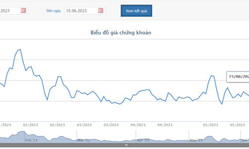 Tân Tổng Giám đốc HBC đăng ký mua 1 triệu cổ phiếu