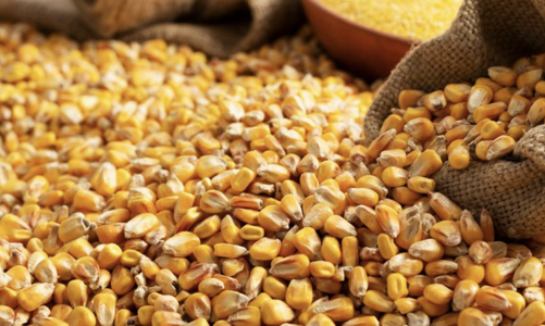 Giá hàng hoá cơ bản trượt dốc, dấu hiệu suy thoái kinh tế toàn cầu?