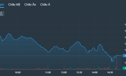 Cầu “triệt thoái” xuống vùng giá thấp, thị trường lao dốc nặng