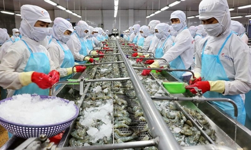 Doanh nghiệp thủy sản kêu khó, kiến nghị được giãn nợ