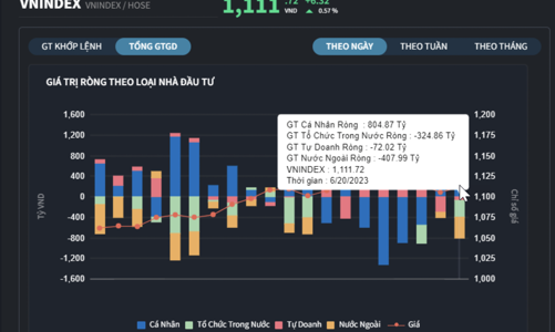 Nhà đầu tư cá nhân tung 800 tỷ mua ròng, gom toàn cổ phiếu chứng khoán và bất động sản