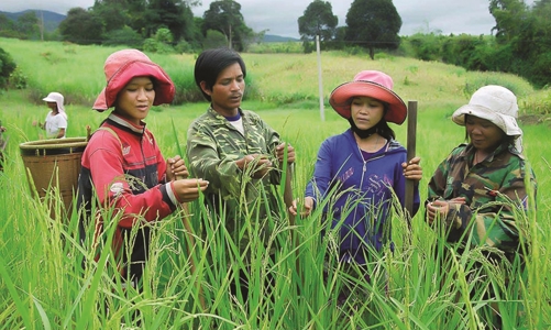Giảm nghèo bền vững năm 2023, gắn với thực hiện Chỉ thị 05