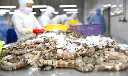 Đại hội cổ đông Thuỷ sản Minh Phú: Thị trường rất khó lường nhưng vẫn có tín hiệu tốt