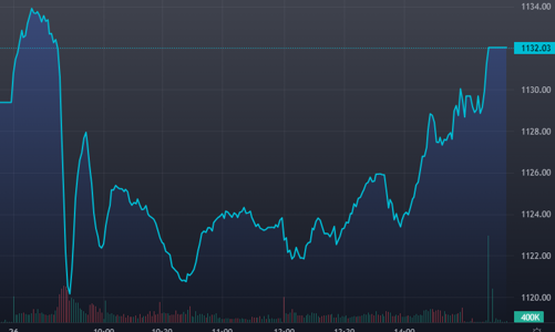 Lực xả hãm đà, cầu phản công, VN-Index đảo chiều tăng
