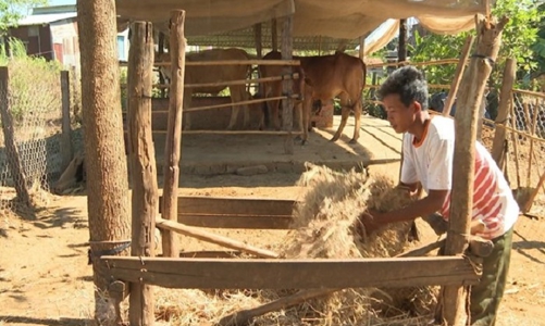 Nửa chặng giảm nghèo giai đoạn 2021-2025