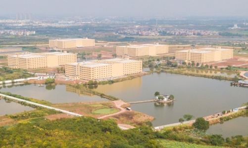 Thanh Hóa: Một doanh nghiệp đề xuất xây tổ hợp 9 tòa nhà cao tầng quy mô 60 hecta để nuôi lợn