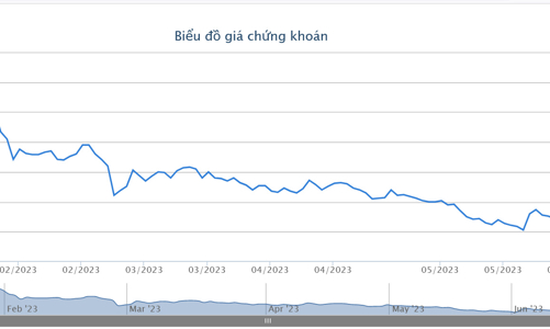 Sprucegrove Investment Management trở thành cổ đông lớn tại PNJ
