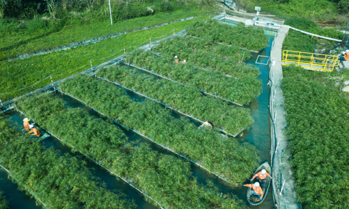 Được đánh giá cao về ESG, Masan Group nhận giải Top 50 Doanh nghiệp phát triển bền vững 2023