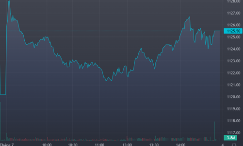 Áp lực T+ nhẹ, thị trường phục hồi tốt, cổ phiếu thủy sản, phân bón bùng nổ