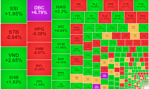 Cổ phiếu chứng khoán, thịt lợn tăng bùng nổ