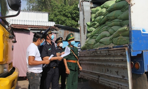 Ngành hải quan tăng thu 50% nhờ siết chặt chống buôn lậu, gian lận thương mại