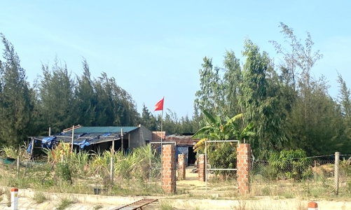 Bình Định sẽ xử lý trường hợp lấn, chiếm đất đai kéo dài suốt những năm qua