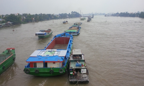 Vận tải thủy khởi sắc nửa đầu năm, tăng trưởng mạnh trên 30%