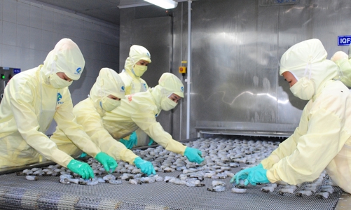 Trung Quốc tăng cường nhập khẩu tạo đà phục hồi xuất khẩu tôm Việt Nam