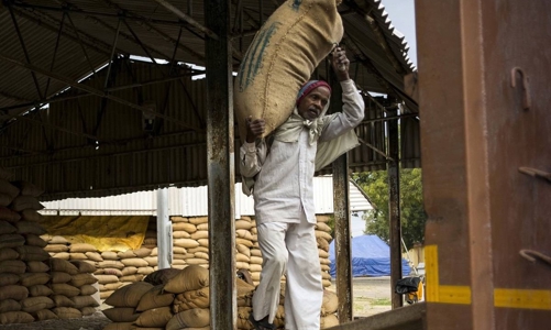 Lo lạm phát, Ấn Độ tính cấm xuất khẩu gạo