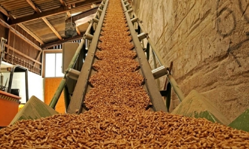 Xuất khẩu viên nén giảm mạnh, Nhật Bản và Hàn Quốc vẫn là hai thị trường chính của Việt Nam