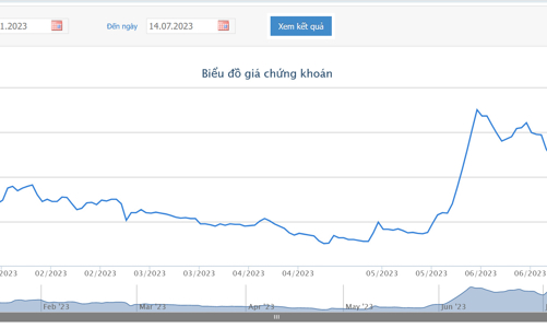 POM dự kiến chào bán hơn 70 triệu cổ phiếu riêng lẻ cho đối tác Nhật Bản