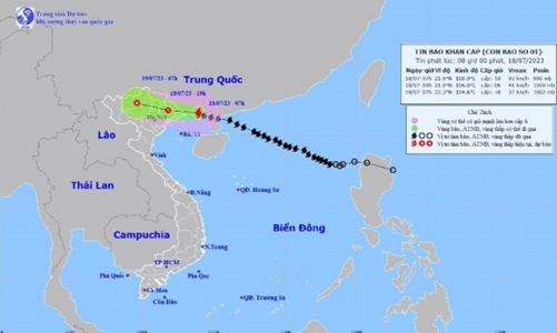 Quảng Ninh, Hải Phòng điều động hàng nghìn cán bộ, chiến sĩ ứng phó với bão Talim 
