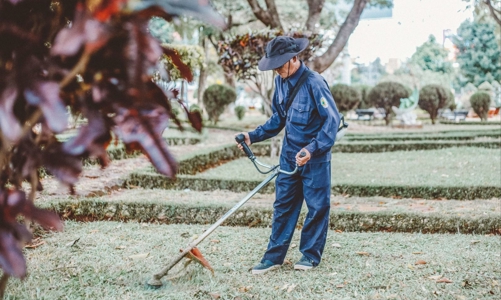 Một số thông tin mới về thị trường xuất khẩu lao động Hy Lạp 