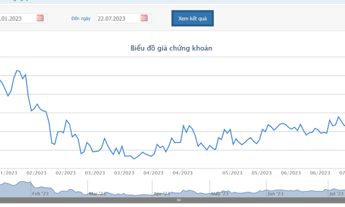 Cổ phiếu tăng 19%, Hoàng Anh Gia Lai muốn chào bán cổ phiếu riêng lẻ