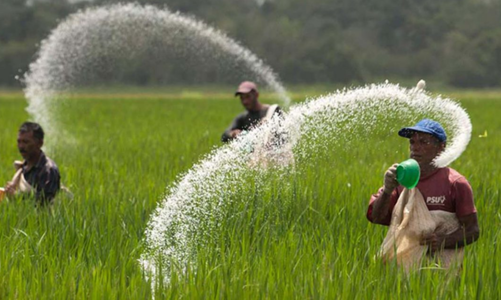 Thị trường phân bón có thể chịu sức ép từ sản phẩm nhập khẩu giá rẻ