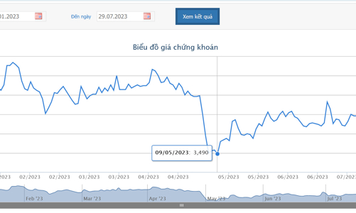 HNG tiếp tục lỗ trong quý 2/2023, nâng lỗ luỹ kế lên 7.244 tỷ đồng