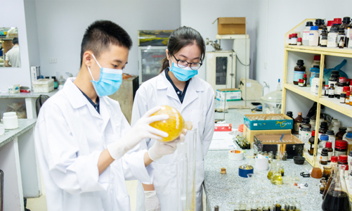 Sẽ ban hành cơ chế đặc thù, chấp nhận rủi ro, thất bại trong nghiên cứu khoa học