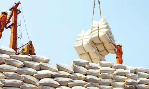 Cả thế giới “sốt hừng hực” vì thiếu gạo và “hành động” của Việt Nam