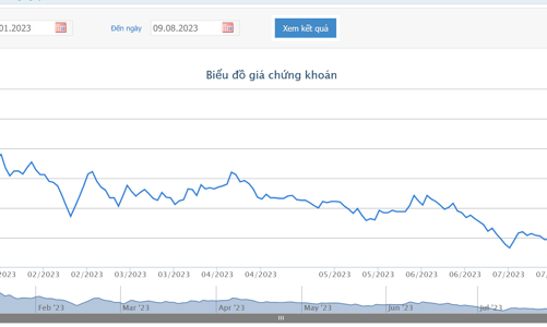 Cổ phiếu thuộc diện cảnh báo, Egroup tiếp tục bị bán giải chấp IBC