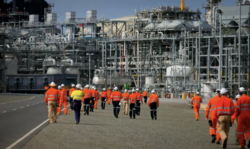 Giá khí đốt ở châu Âu tăng 40% một phiên vì tin đình công ở Australia