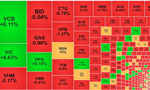 VIC đỡ chỉ số, thị trường vẫn bị bán tháo