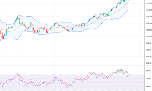 Xu thế dòng tiền: Bull-trap tạo đỉnh, hay nhịp lùi lấy đà?