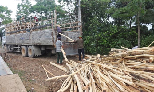 Cơ quan thuế phân trần lý do chậm hoàn thuế VAT