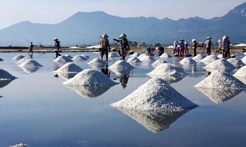 Tăng giá trị cho hạt muối, cần đầu tư vào chế biến sâu, tạo ra nhiều sản phẩm mới