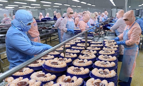 Hiệp định VIFTA: Xung lực thúc đẩy thương mại Việt Nam - Israel tăng trưởng vượt bậc 