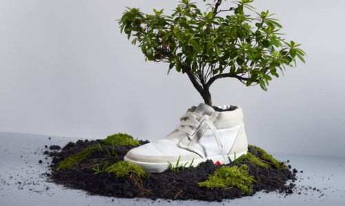 Làn sóng tiêu dùng giày dép bền vững