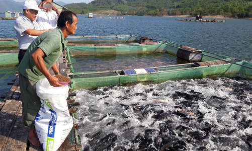 Ngành hải sản xác định 3 trụ cột:  Khai thác, nuôi biển và bảo tồn